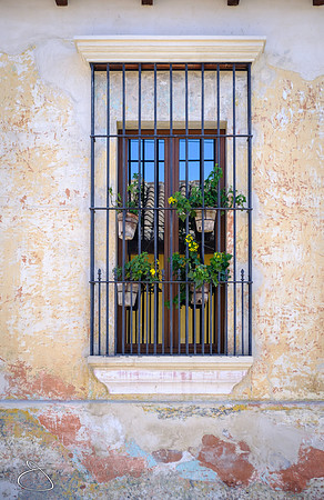 Guatemala-2016-9777